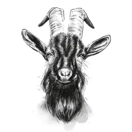 1. FC Köln Teambus 25/26